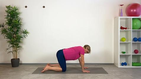 Frau in rosa T-Shirt und blauen Leggings macht eine Yoga-Übung auf einer Matte vor einer Wand und einer Pflanzenansicht.