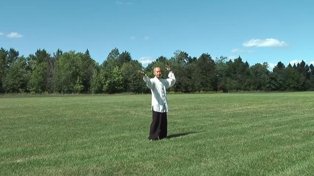 Mann in traditioneller Kleidung führt Tai-Chi-Bewegungen auf einer grünen Wiese unter blauem Himmel aus.